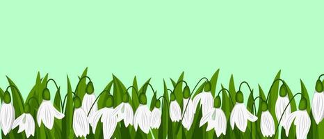 Schneeglöckchen isoliert auf Grün Hintergrund. Frühling Zeit vektor