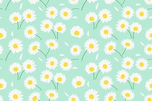 sömlös mönster med daisy blomma och på bakgrund vektor illustration.