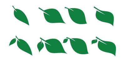 Grün Blatt Symbol Satz. Blatt Symbol. Sammlung von Grün Blätter. Design Elemente zum Etiketten natürlich, Öko, bio, vegan. Vektor Illustration.