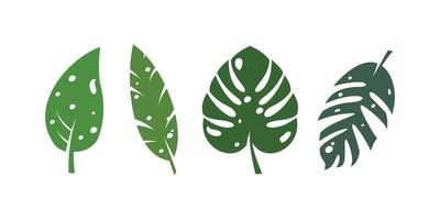 tropisch Blätter Vektor Sammlung, Natur Blätter auf Weiß Hintergrund