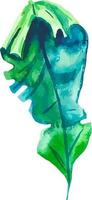 vattenfärg tropisk grön handflatan blad isolerat vektor