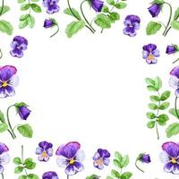 Stiefmütterchen Blumen Rahmen zum Servietten, Gruß und andere Dekor Blumen- Garten Natur Illustration vektor