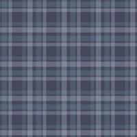 Blau Plaid bg vektor