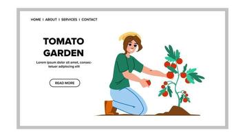 tomat trädgård vektor