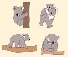 en uppsättning koalakaraktärer i olika poser. vektor