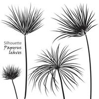 Silhouette tropisch Palme Papyrus Blätter schwarz isoliert auf Weiß Hintergrund. vektor