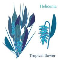 Ast tropisch Heliconia Blume Blätter. Aquarell realistisch Zeichnung im eben Farbe Stil. isoliert auf Weiß Hintergrund vektor