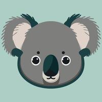 allmänning koala gräsätande däggdjur djur- ansikte vektor