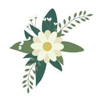 blomma arrangemang isolerat på bakgrund. platt illustration. perfekt för kort, inbjudningar, dekorationer, logotyp, olika mönster vektor