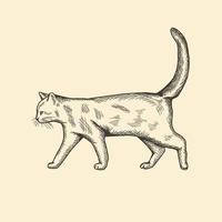 Jahrgang Katze Hand Zeichnung Vektor Illustration