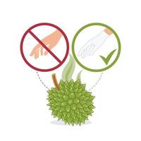 illustration med tecken indikerar de Durian frukt kan vara rörd endast med handskar. exotisk frukt durian, ovan som tecken förbjuda, med en hand utan en handske vektor