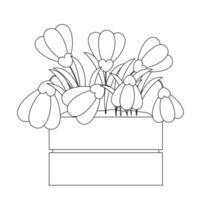 Blume Schneeglöckchen im hölzern Box im schwarz und Weiß vektor