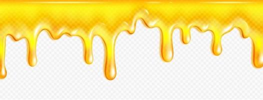 realistisk smält honung på transparent bakgrund vektor