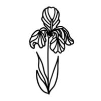 Blume im Gliederung Gekritzel eben Stil zum Färbung. einfach Blumen- Element Pflanze Blätter dekorativ Design. Hand gezeichnet Linie Kunst. kreativ skizzieren. Vektor Illustration isoliert auf Weiß Hintergrund.