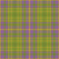 Muster Hintergrund Plaid. Vektor Stoff Textil. prüfen Textur nahtlos Schottenstoff.