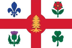 enkel flagga av stad av kanada vektor