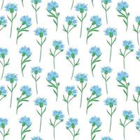 sömlös bakgrund med blåklint. vektor. delikat solid blommönster. blå små blommor. vektor