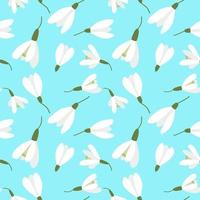 nahtloser Hintergrund mit Schneeglöckchen. Vektor. ein sich wiederholendes Muster mit Frühlingsblumen. weiße Blumen auf blauem Hintergrund.