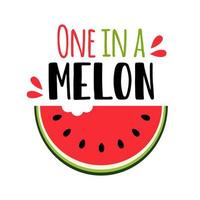 ett i en melon. vektor illustration med vattenmelon skiva