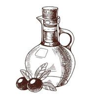 Flasche von Olive Öl und schwarz Oliven. Hand gezeichnet Vektor Illustration isoliert auf Weiß Hintergrund