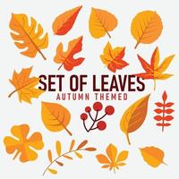 Sammlung schön Herbst Blätter isoliert auf Weiß Hintergrund Herbst Hintergrund. Herbst thematisch Vektor