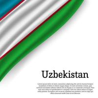 winken Flagge von Usbekistan vektor