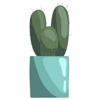 grön saftig cereus i keramisk pott på en vit. peruvian äpple kaktus, jätte klubb kaktus, häck kaktus, dama di anochi, kayush vektor