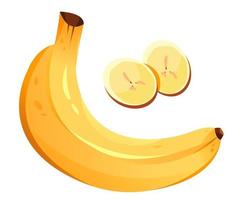 banan är en tropisk frukt. tecknad serie vektor illustration isolerat på en vit bakgrund.