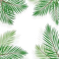 grön handflatan blad vektor bakgrund illustration.