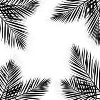 Vektor isoliert tropisch nahtlos Muster mit schwarz Palme Blätter auf ein Weiß Hintergrund.