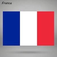 Frankreich einfach Flagge isoliert . Vektor Illustration