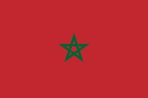 Marokko einfach Flagge richtig Größe, Anteil, Farben. vektor