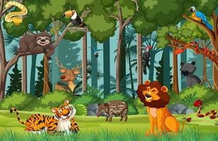 vilda djur seriefigur i skogen scen vektor