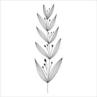 svart silhuett av en växt gren. blomma gren i översikt stil hand dragen på isolerat vit bakgrund. vektor stock illustration. tropisk löv. minimal linje konst för skriva ut, omslag eller tatuering.