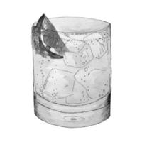 gin och tonic cocktail, dryck, vattenfärg hand teckning svartvit stiliserade. vektor