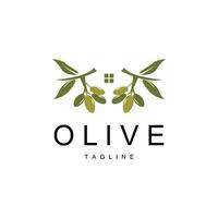 oliv logotyp, oliv olja växt vektor, naturlig ört- hälsa medicin design, illustration mall ikon vektor