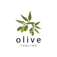 Olive Logo, Olive Öl Pflanze Vektor, natürlich Kräuter- Gesundheit Medizin Design, Illustration Vorlage Symbol vektor