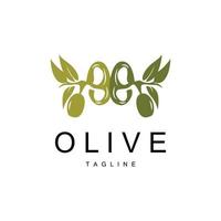 Olive Logo, Olive Öl Pflanze Vektor, natürlich Kräuter- Gesundheit Medizin Design, Illustration Vorlage Symbol vektor