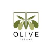 oliv logotyp, oliv olja växt vektor, naturlig ört- hälsa medicin design, illustration mall ikon vektor