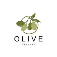 Olive Logo, Olive Öl Pflanze Vektor, natürlich Kräuter- Gesundheit Medizin Design, Illustration Vorlage Symbol vektor