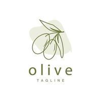 Olive Logo, Olive Öl Pflanze Vektor, natürlich Kräuter- Gesundheit Medizin Design, Illustration Vorlage Symbol vektor