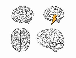 mänsklig hjärnor uppsättning. hand dragen svart Färg realistisk skiss stil. vektor
