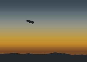 Silhouette von das fliegend Vogel im Natur beim Sonnenuntergang, Vektor Illustration.