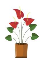 eingetopft Pflanze Anthurium Karikatur Design eben Vektor Illustration