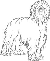 briard Hund Rasse Gekritzel Stil Linie Zeichnung Vektor schwarz und Weiß Illustration
