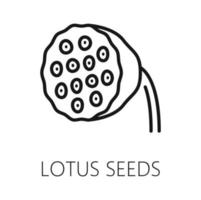 Lotus Samen Gliederung Symbol, organisch gesund Essen vektor