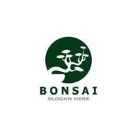 bonsai träd växt vektor logotyp illustration