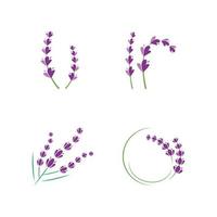 frisch Lavendel Blume Logo eben Design Vorlage vektor