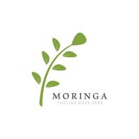 Grün natürlich Moringa Blatt Logo Vorlage isoliert auf Weiß Hintergrund. vektor