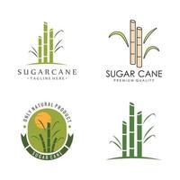 naturlig ljuv socker sockerrör växt logotyp mall. vektor